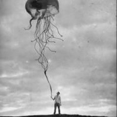 Luca Moser