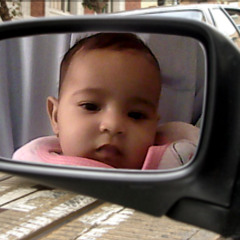 Wael Tohamy