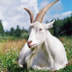 Konstantin Zelenihin