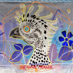 Orange Mouse (Ohrenschmaus)