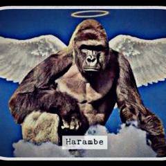 User 41277099