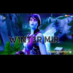 W1NT3R MIR