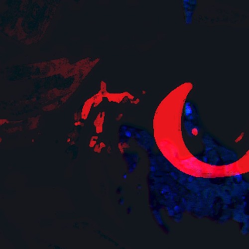 THIS FILE MAY BE DAMAGED