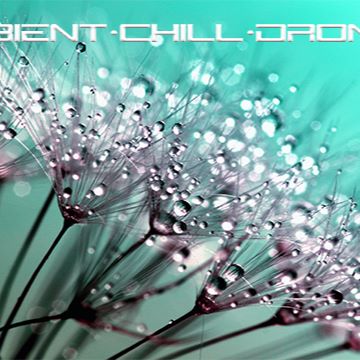 Neural State 1
