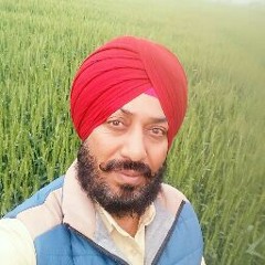 Sikandar Randhawa