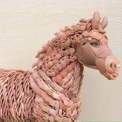 Coalition of the Pyschedelic