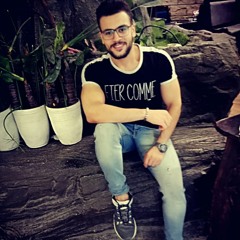أحمد منيسي