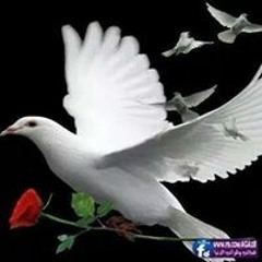 نسائم الرحمة