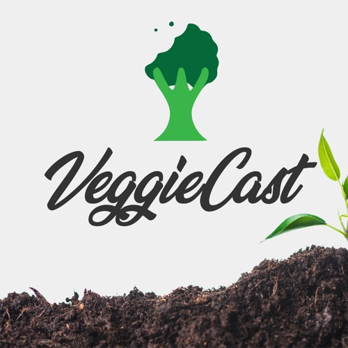 VeggieCast’s avatar