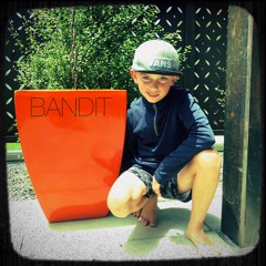 Bandit