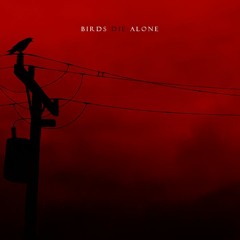 Birds Die Alone