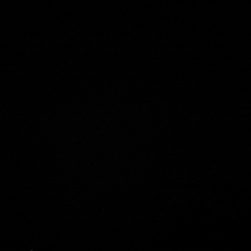 Quelly Woo - Pop Out (Unreleased)