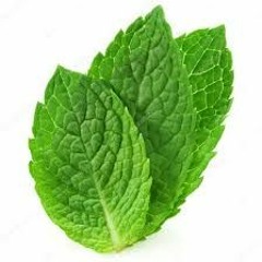 Mint leaf