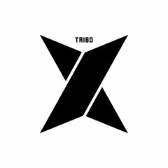 TriboX