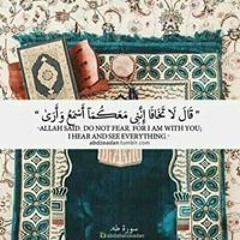 Habiba Walid