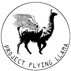 温泉芸術サークルFlying Llama