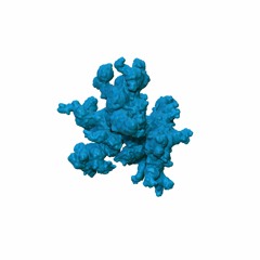 Kokopelli 코코펠리