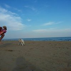 Davi