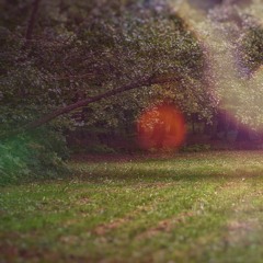 project_Path of Dharma