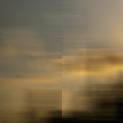 the reversed company