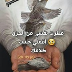 Essam Shamshoon