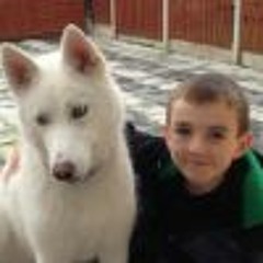 ConorQ25