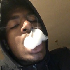 Zavy.Zoo