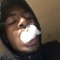 Zavy.Zoo