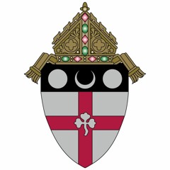HbgDiocese
