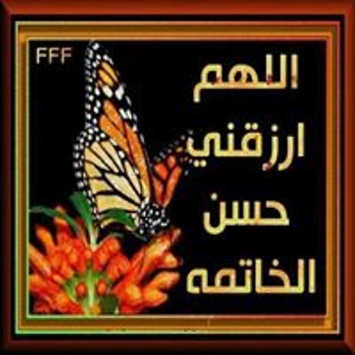 أبوعبدالرحمن العواجي’s avatar