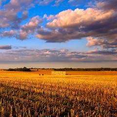 Phrixus! - The Early Years