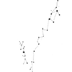 Arquitecta de las constelaciones