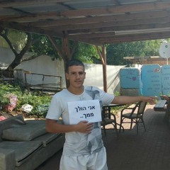 אורלי חדד