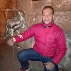 وليدصابر وليد صابر