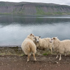 PutMyHandsInYourPocket