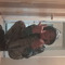 zee towavy