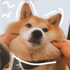 Sezuki