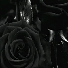 Black Rose