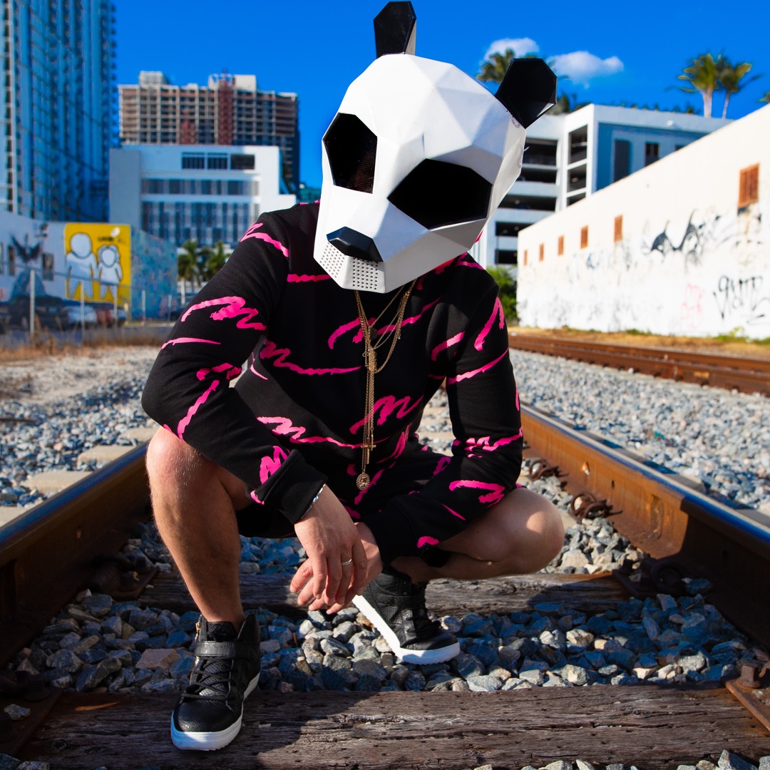 Stream Pink Panda Remixes music | Listen to songs, albums