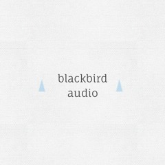 blackbird audio