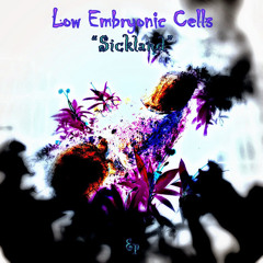 Low Embryonic Cells
