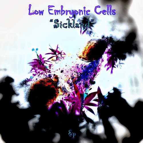 Low Embryonic Cells’s avatar