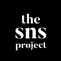The SNS Project