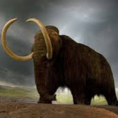 The Mammoth King
