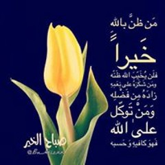 دودو سمير