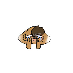 Chocii