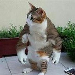 SomeRandomGuy