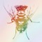 JohnsontheFly
