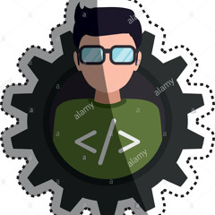 The Developer