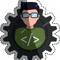The Developer